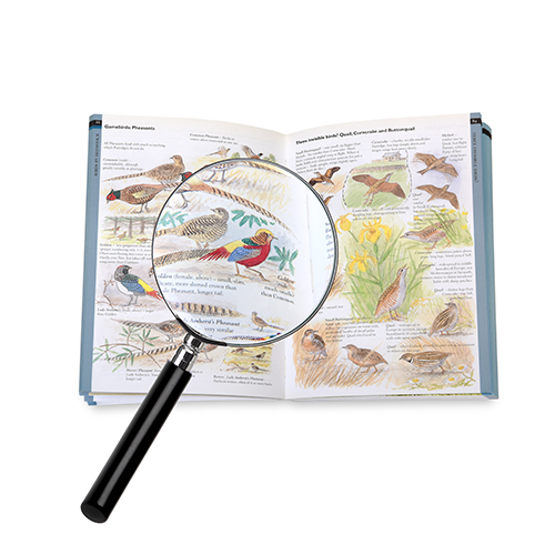 Executive Magnifying Glass - Classic Sherlock Holmes -  3½ inch / 90mm 