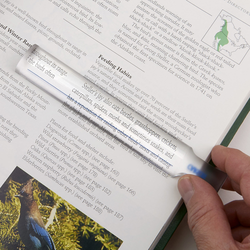 Bar Magnifier with 6-inch Reading Line 