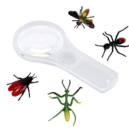 Mini pocket magnifying glass with insects